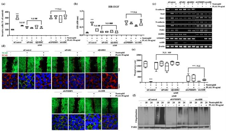 https://cdn.ncbi.nlm.nih.gov/pmc/blobs/65ea/7139301/c32e50b5c0c4/cancers-12-00560-g006.jpg
