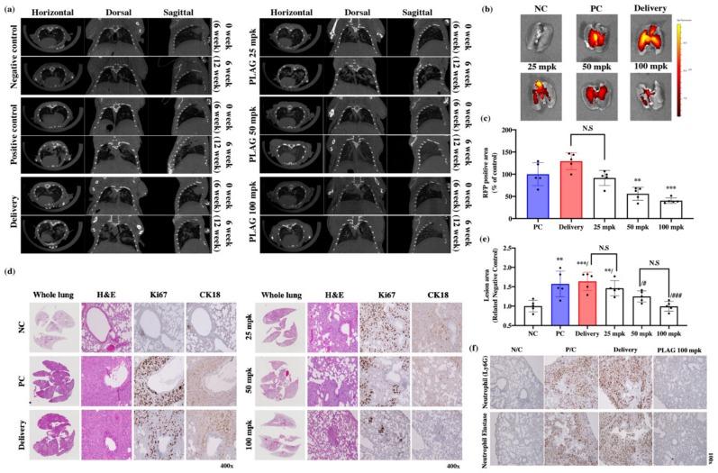 https://cdn.ncbi.nlm.nih.gov/pmc/blobs/65ea/7139301/f87e379d3354/cancers-12-00560-g003.jpg