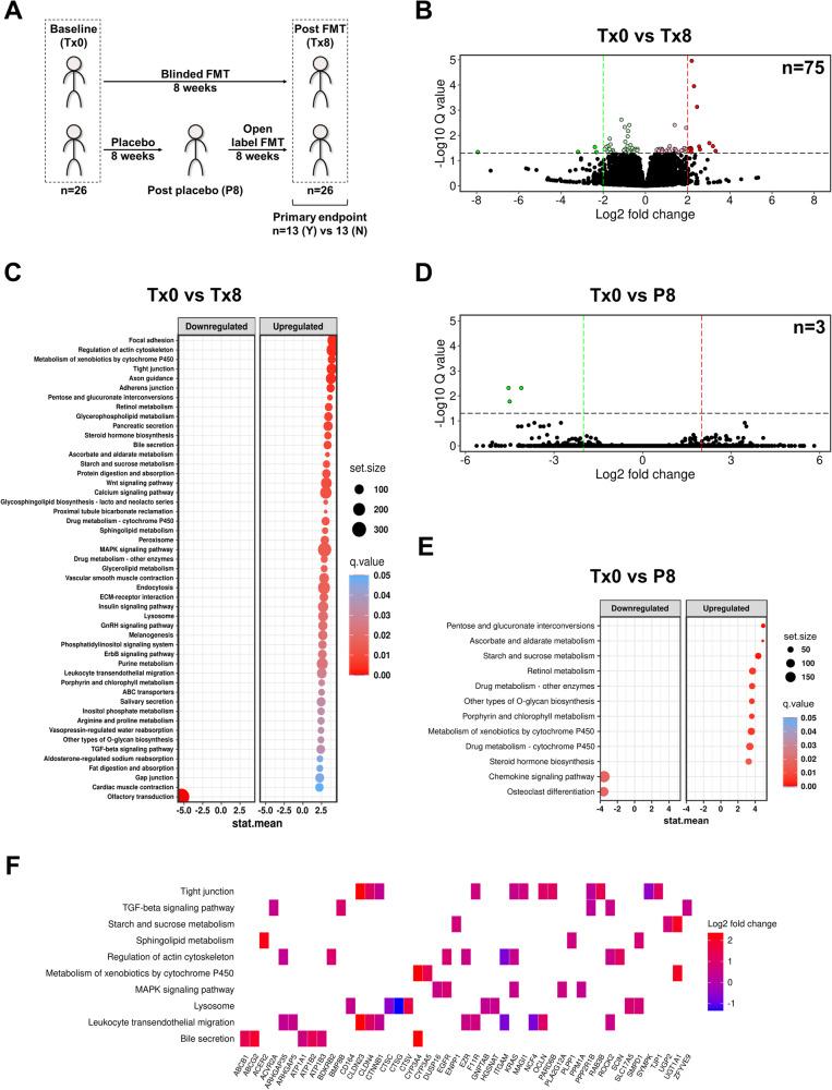 https://cdn.ncbi.nlm.nih.gov/pmc/blobs/65eb/10965925/317ded003f38/41467_2024_46983_Fig1_HTML.jpg