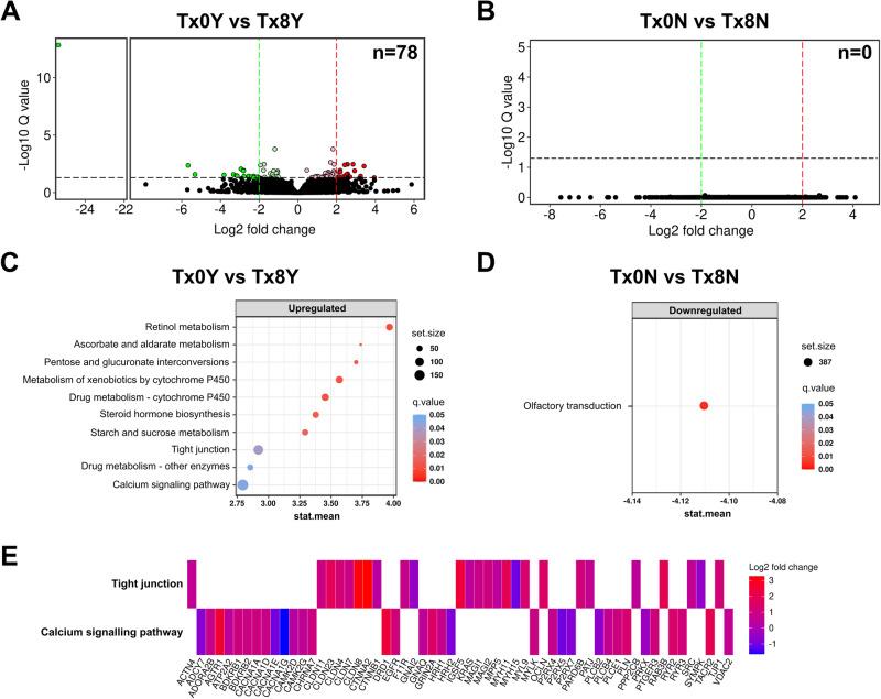 https://cdn.ncbi.nlm.nih.gov/pmc/blobs/65eb/10965925/c9716c870186/41467_2024_46983_Fig2_HTML.jpg