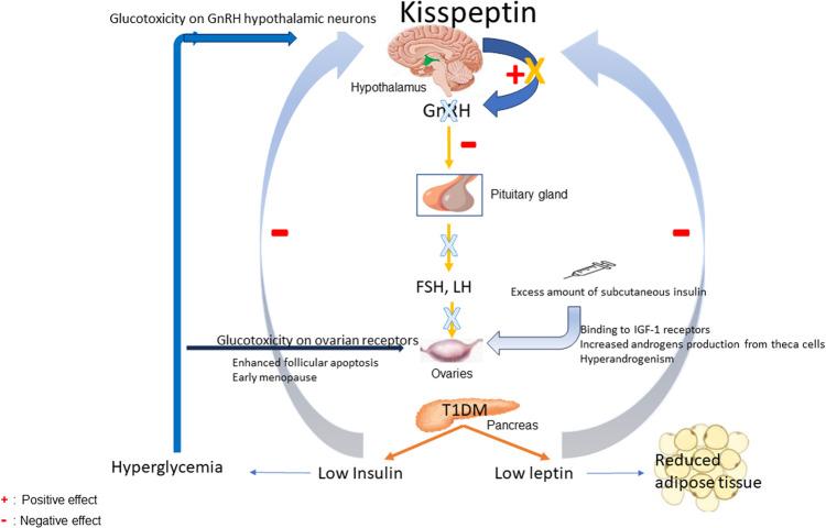 https://cdn.ncbi.nlm.nih.gov/pmc/blobs/65ed/11291547/03e5b0fc70ea/12020_2024_3729_Fig1_HTML.jpg