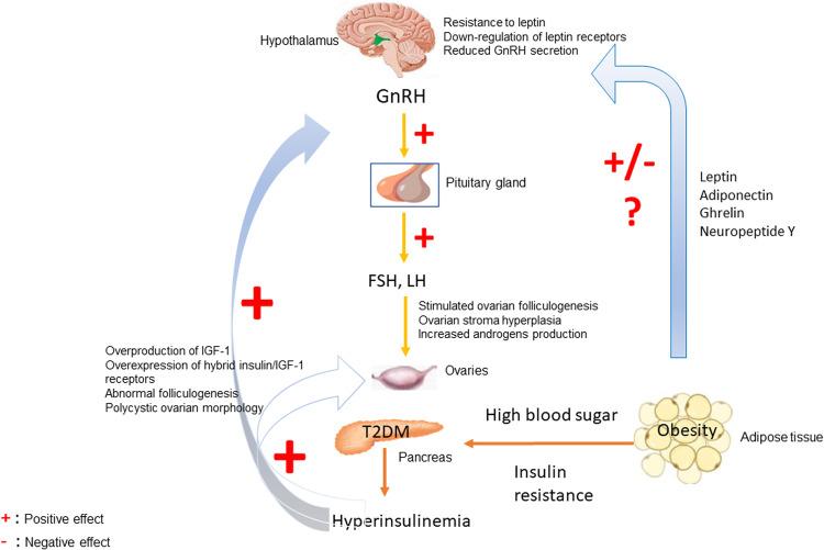 https://cdn.ncbi.nlm.nih.gov/pmc/blobs/65ed/11291547/2943c0975c84/12020_2024_3729_Fig2_HTML.jpg