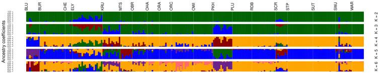 https://cdn.ncbi.nlm.nih.gov/pmc/blobs/65ed/12024669/0a3d11691a42/biology-14-00392-g004.jpg