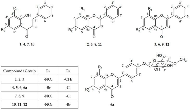 https://cdn.ncbi.nlm.nih.gov/pmc/blobs/65f0/11395712/bb6987f7a965/ijms-25-09269-g001.jpg