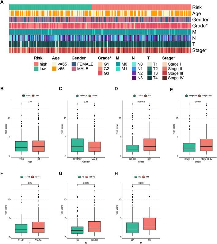https://cdn.ncbi.nlm.nih.gov/pmc/blobs/65f1/9250987/53b1e2678287/fgene-13-899419-g004.jpg