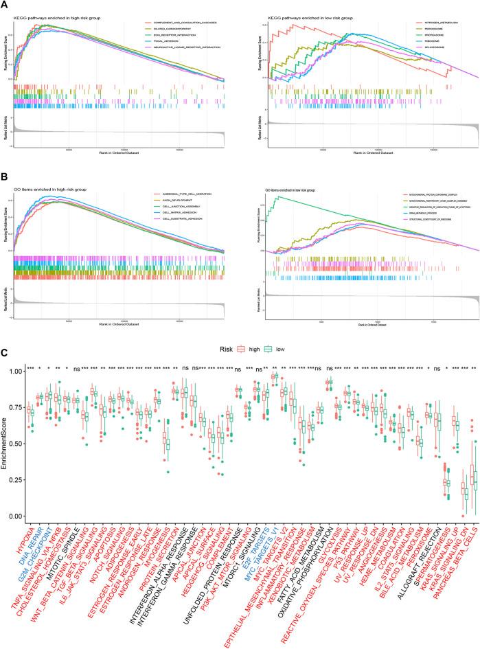 https://cdn.ncbi.nlm.nih.gov/pmc/blobs/65f1/9250987/dda099d75cf8/fgene-13-899419-g007.jpg