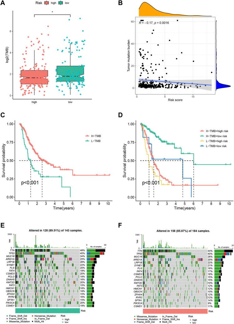 https://cdn.ncbi.nlm.nih.gov/pmc/blobs/65f1/9250987/de0e86625f71/fgene-13-899419-g005.jpg