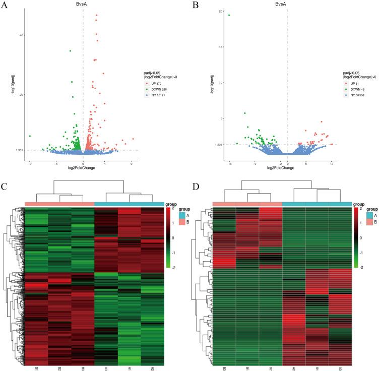 https://cdn.ncbi.nlm.nih.gov/pmc/blobs/65f2/11625641/27c103e2802d/IJN-19-13029-g0005.jpg