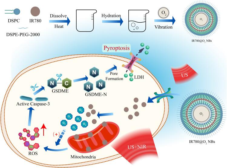 https://cdn.ncbi.nlm.nih.gov/pmc/blobs/65f2/11625641/6bbc96342feb/IJN-19-13029-g0001.jpg