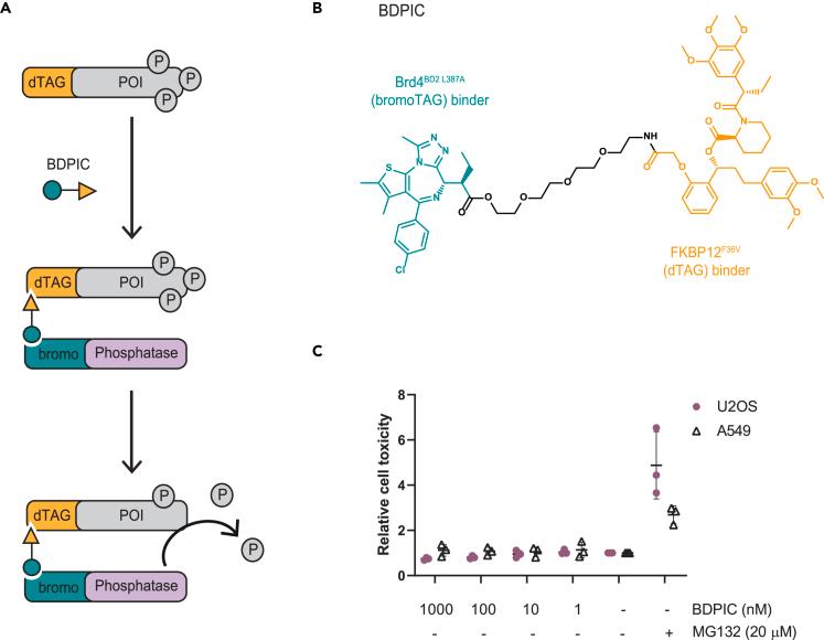 https://cdn.ncbi.nlm.nih.gov/pmc/blobs/65f3/11298613/ec486c355a4b/gr1.jpg