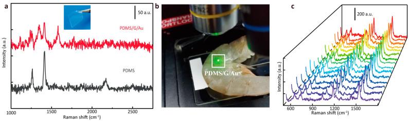 https://cdn.ncbi.nlm.nih.gov/pmc/blobs/65f5/11013602/d2d214fbca54/nanomaterials-14-00566-g007.jpg