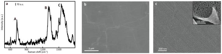 https://cdn.ncbi.nlm.nih.gov/pmc/blobs/65f5/11013602/efc8a5d40fba/nanomaterials-14-00566-g001.jpg