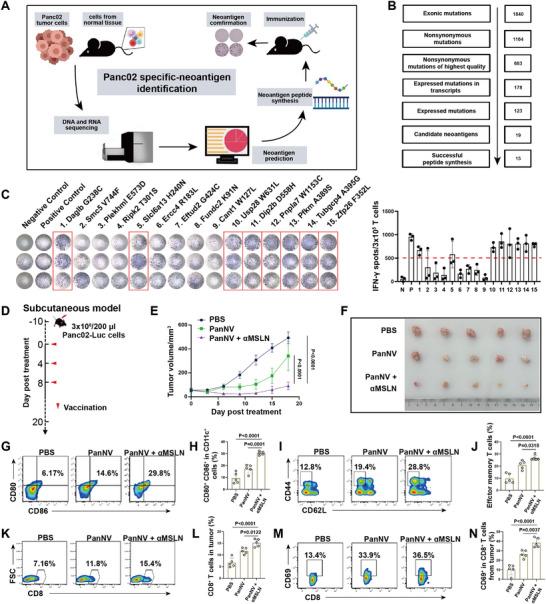 https://cdn.ncbi.nlm.nih.gov/pmc/blobs/65f5/11948035/79344339da9a/ADVS-12-2407976-g005.jpg