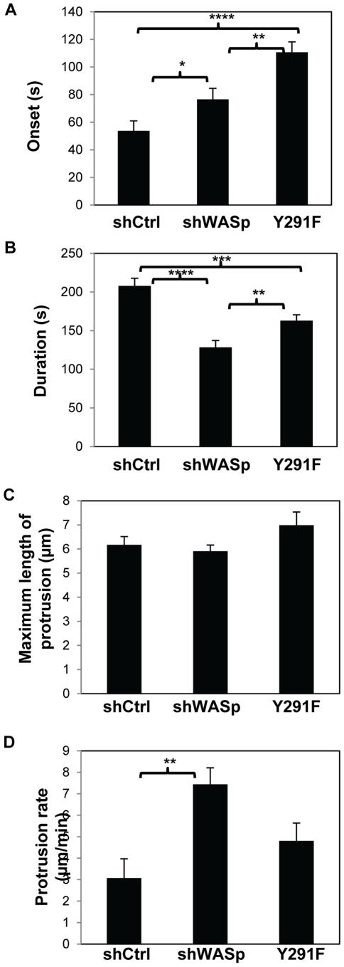 https://cdn.ncbi.nlm.nih.gov/pmc/blobs/65f7/3261183/20555ed64bfa/pone.0030033.g003.jpg