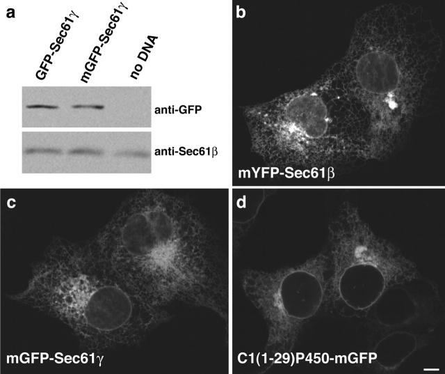 https://cdn.ncbi.nlm.nih.gov/pmc/blobs/65fd/2173526/0096380b9ad6/200306020f9.jpg