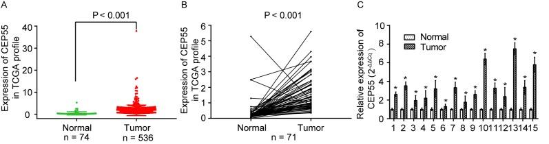 https://cdn.ncbi.nlm.nih.gov/pmc/blobs/65fd/6471254/c8112089477f/MMR-19-05-3485-g04.jpg