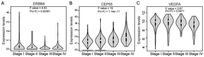 https://cdn.ncbi.nlm.nih.gov/pmc/blobs/65fd/6471254/d3904f12512e/MMR-19-05-3485-g02.jpg