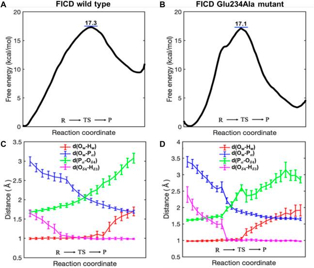 https://cdn.ncbi.nlm.nih.gov/pmc/blobs/65fd/9905249/9c24fa22b61a/fchem-11-1077188-g002.jpg