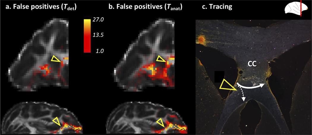 https://cdn.ncbi.nlm.nih.gov/pmc/blobs/6600/8475636/8631a90a5740/nihms-1732192-f0010.jpg