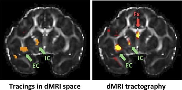 https://cdn.ncbi.nlm.nih.gov/pmc/blobs/6600/8475636/c94aef1cc0a4/nihms-1732192-f0002.jpg