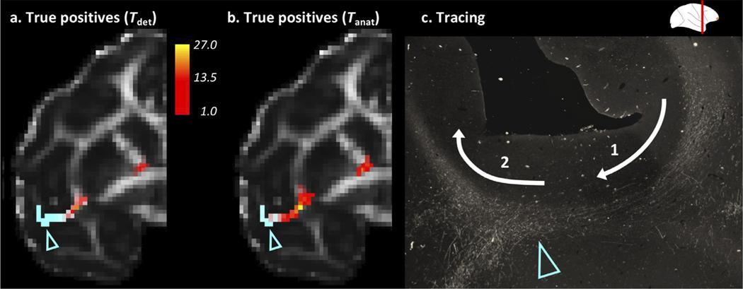 https://cdn.ncbi.nlm.nih.gov/pmc/blobs/6600/8475636/f29eb6717b75/nihms-1732192-f0009.jpg