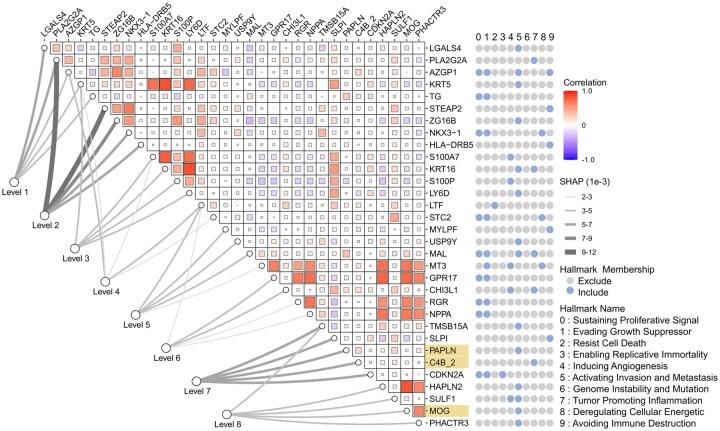 https://cdn.ncbi.nlm.nih.gov/pmc/blobs/6602/12401579/e7090255a283/btaf444f4.jpg