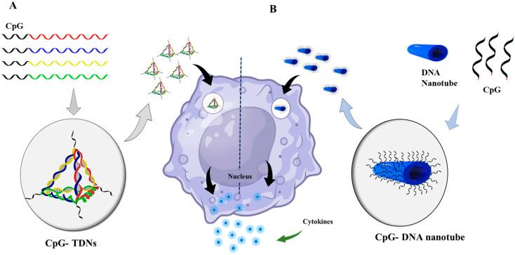 https://cdn.ncbi.nlm.nih.gov/pmc/blobs/6603/10790967/9ddb36b46319/d3na00692a-f5.jpg