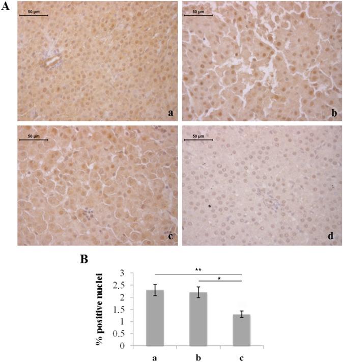 https://cdn.ncbi.nlm.nih.gov/pmc/blobs/6604/4130630/619cfd5a5d3f/pone.0105005.g005.jpg