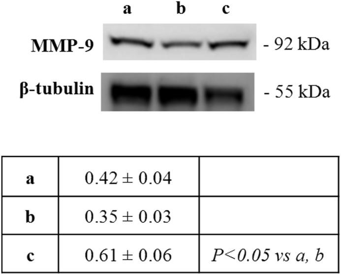 https://cdn.ncbi.nlm.nih.gov/pmc/blobs/6604/4130630/70d08f1d58d4/pone.0105005.g004.jpg