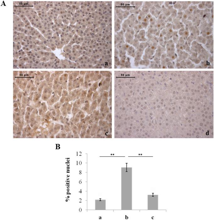 https://cdn.ncbi.nlm.nih.gov/pmc/blobs/6604/4130630/7379182a98be/pone.0105005.g007.jpg
