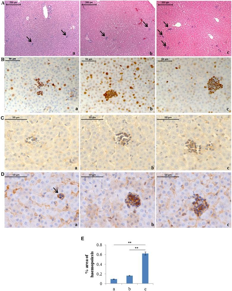 https://cdn.ncbi.nlm.nih.gov/pmc/blobs/6604/4130630/d642380bfea6/pone.0105005.g001.jpg