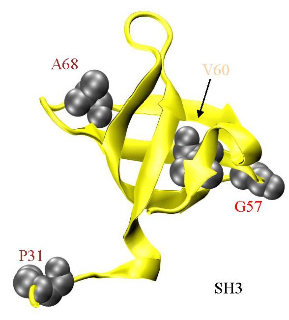 https://cdn.ncbi.nlm.nih.gov/pmc/blobs/6605/2848645/4f153ba80c23/1471-2164-11-172-5.jpg