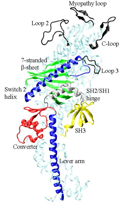 https://cdn.ncbi.nlm.nih.gov/pmc/blobs/6605/2848645/a407662edc3d/1471-2164-11-172-1.jpg