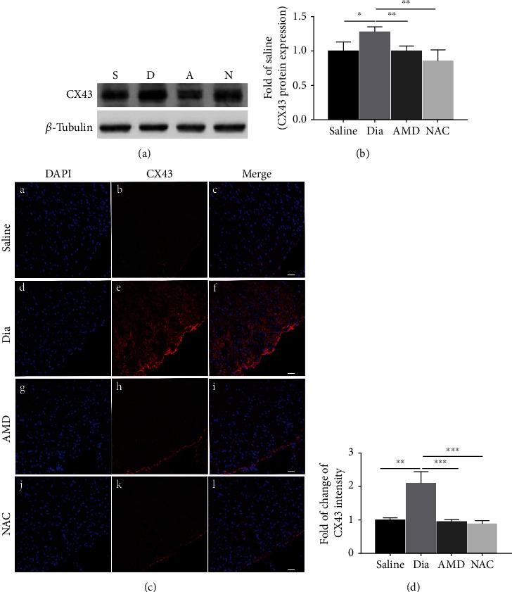 https://cdn.ncbi.nlm.nih.gov/pmc/blobs/6605/9256426/89be754b1cc0/OMCL2022-8547563.008.jpg