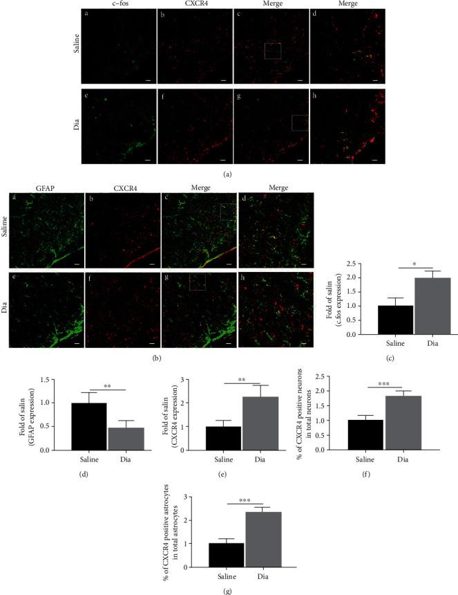 https://cdn.ncbi.nlm.nih.gov/pmc/blobs/6605/9256426/b0b3bf11f3ac/OMCL2022-8547563.003.jpg