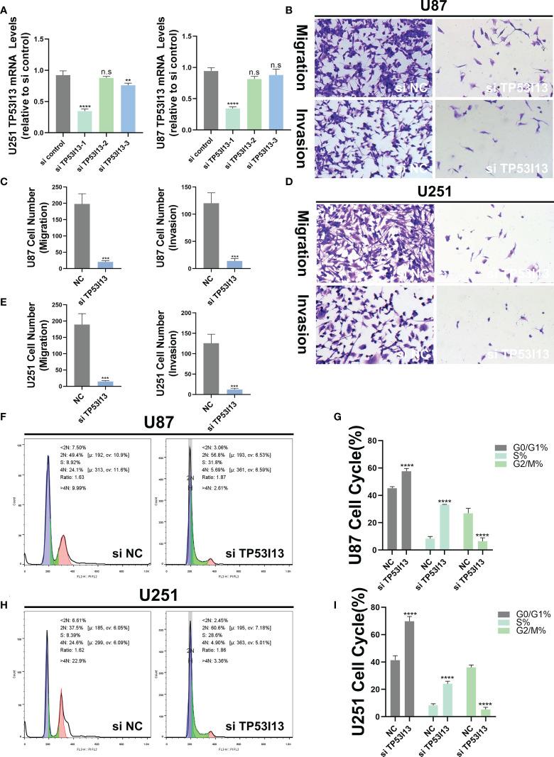 https://cdn.ncbi.nlm.nih.gov/pmc/blobs/6608/9585303/34f729376f81/fimmu-13-974346-g011.jpg
