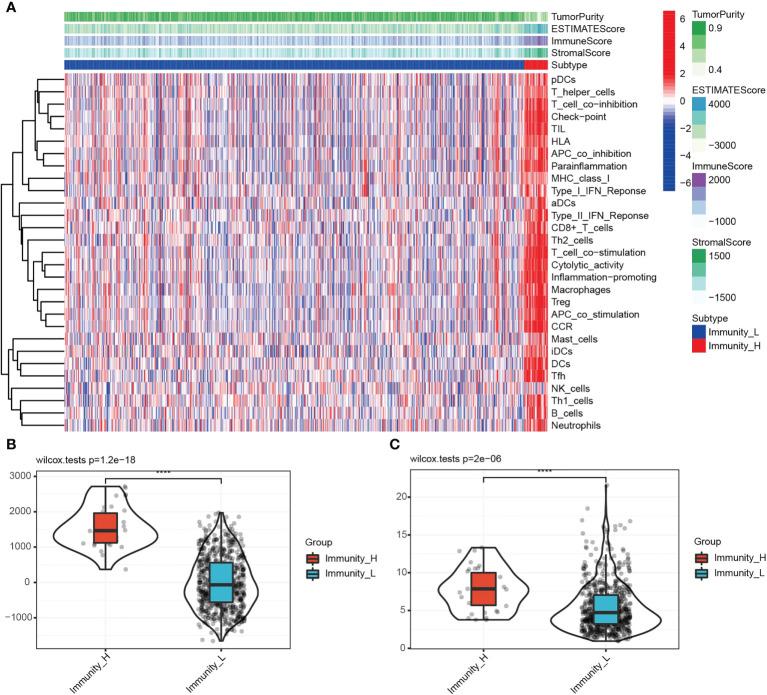 https://cdn.ncbi.nlm.nih.gov/pmc/blobs/6608/9585303/526b8ee24ff0/fimmu-13-974346-g001.jpg