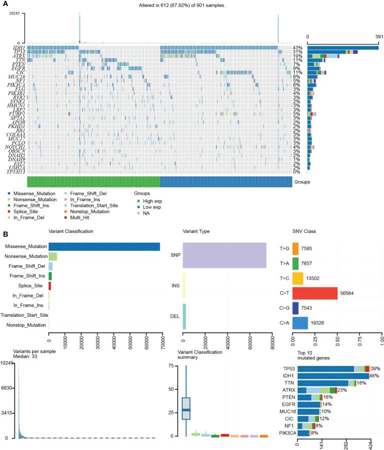 https://cdn.ncbi.nlm.nih.gov/pmc/blobs/6608/9585303/7639bc850f51/fimmu-13-974346-g008.jpg