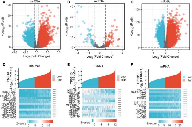 https://cdn.ncbi.nlm.nih.gov/pmc/blobs/6608/9585303/8e8b93550001/fimmu-13-974346-g006.jpg