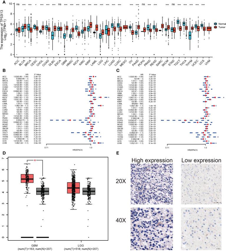https://cdn.ncbi.nlm.nih.gov/pmc/blobs/6608/9585303/bae052784452/fimmu-13-974346-g002.jpg