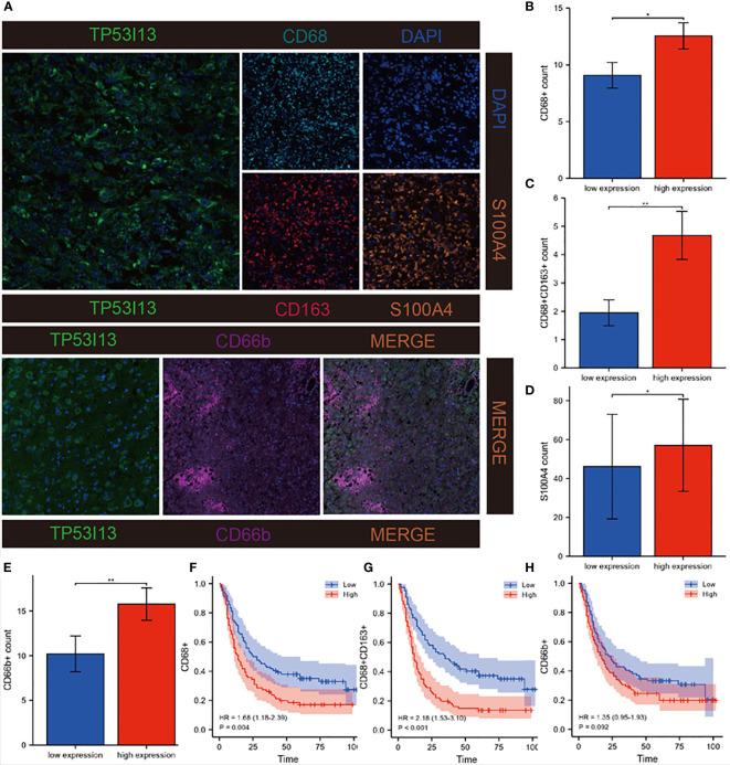 https://cdn.ncbi.nlm.nih.gov/pmc/blobs/6608/9585303/e72ce02d61a9/fimmu-13-974346-g010.jpg