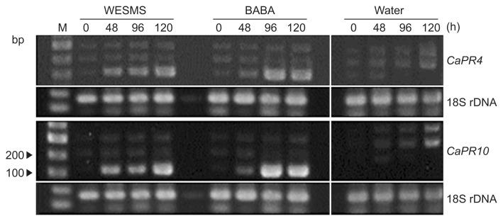https://cdn.ncbi.nlm.nih.gov/pmc/blobs/660a/5461045/b03179724dbb/ppj-33-264f5.jpg