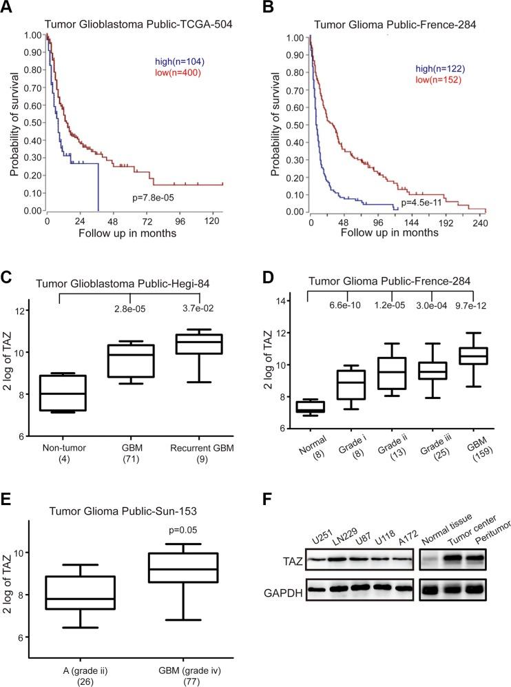 https://cdn.ncbi.nlm.nih.gov/pmc/blobs/660b/5094998/0cecb3909a4d/oncotarget-07-36255-g001.jpg