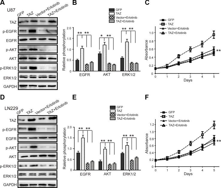 https://cdn.ncbi.nlm.nih.gov/pmc/blobs/660b/5094998/eeaa02956914/oncotarget-07-36255-g006.jpg
