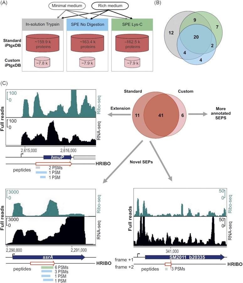 https://cdn.ncbi.nlm.nih.gov/pmc/blobs/660d/10117765/ea1359e1fc5e/uqad012fig5.jpg