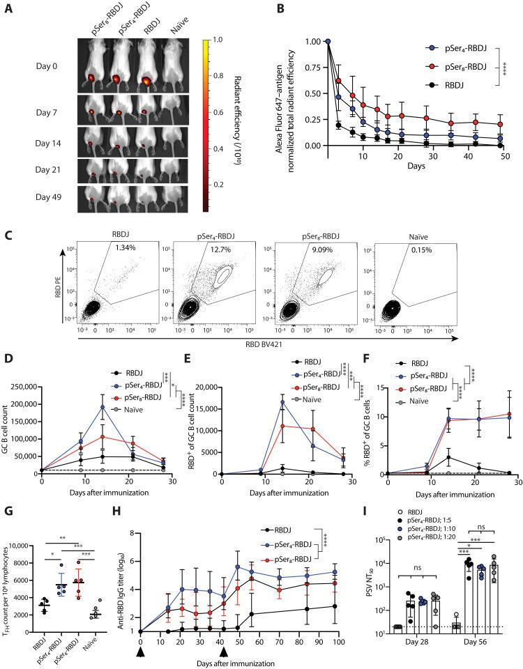 https://cdn.ncbi.nlm.nih.gov/pmc/blobs/6610/8654298/bb5691130df6/sciadv.abj6538-f3.jpg