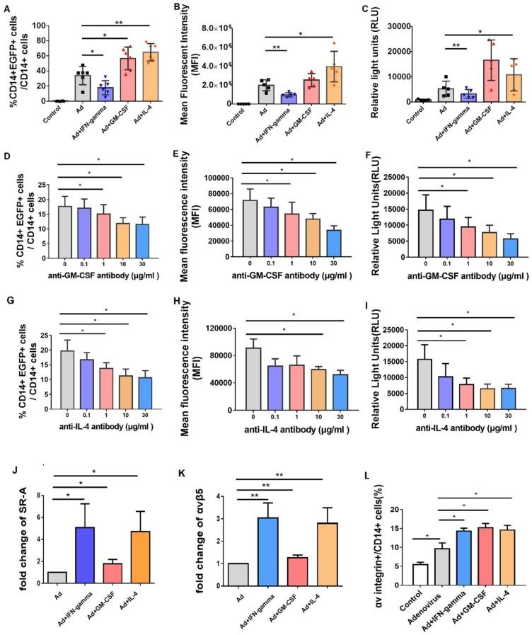 https://cdn.ncbi.nlm.nih.gov/pmc/blobs/6611/6409799/45b6f492d544/viruses-11-00154-g005.jpg