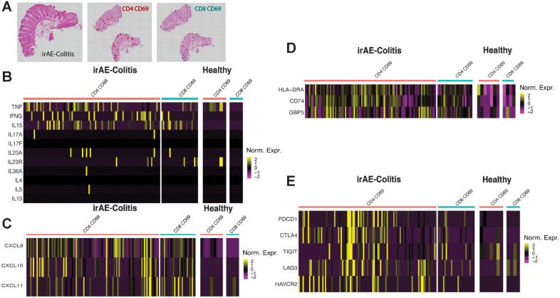 https://cdn.ncbi.nlm.nih.gov/pmc/blobs/6611/9530647/ca985c18d83b/1167fig3.jpg