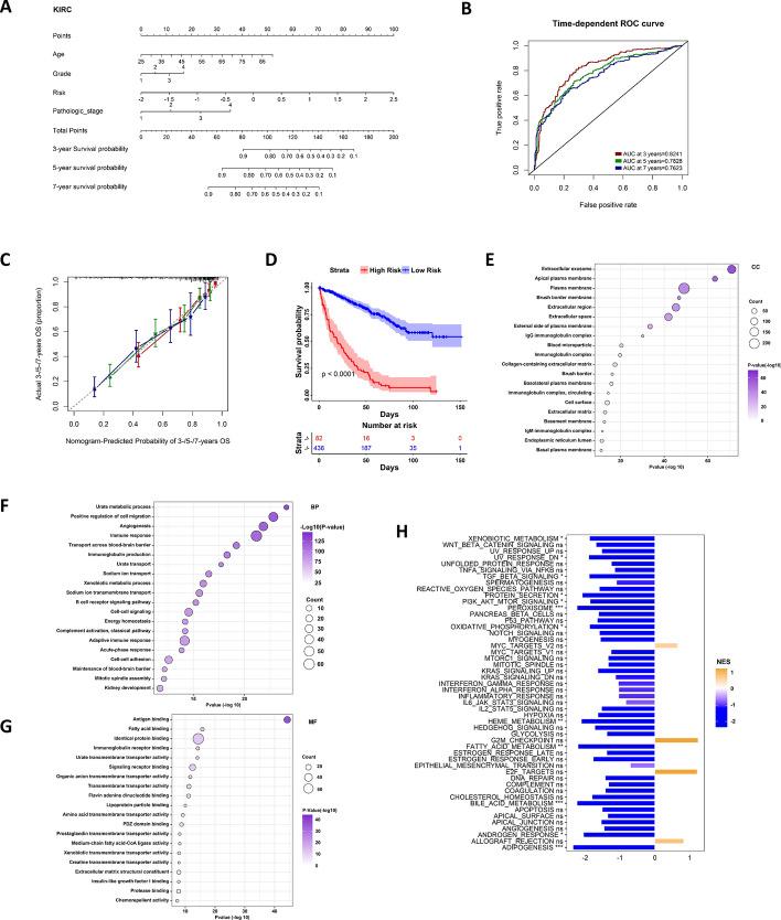 https://cdn.ncbi.nlm.nih.gov/pmc/blobs/6613/12214139/485db5f79b4b/12672_2025_3050_Fig6_HTML.jpg