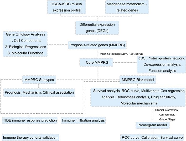 https://cdn.ncbi.nlm.nih.gov/pmc/blobs/6613/12214139/ab118b929e44/12672_2025_3050_Fig1_HTML.jpg